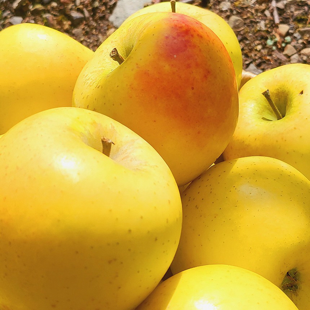 1728976476 thumbnail