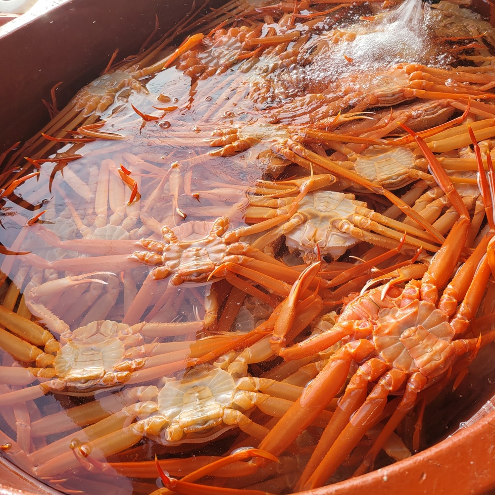 1729058280 thumbnail