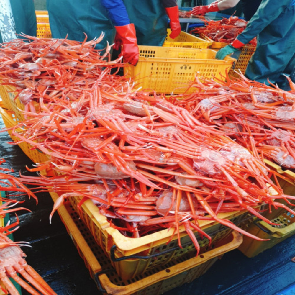 1729058281 thumbnail