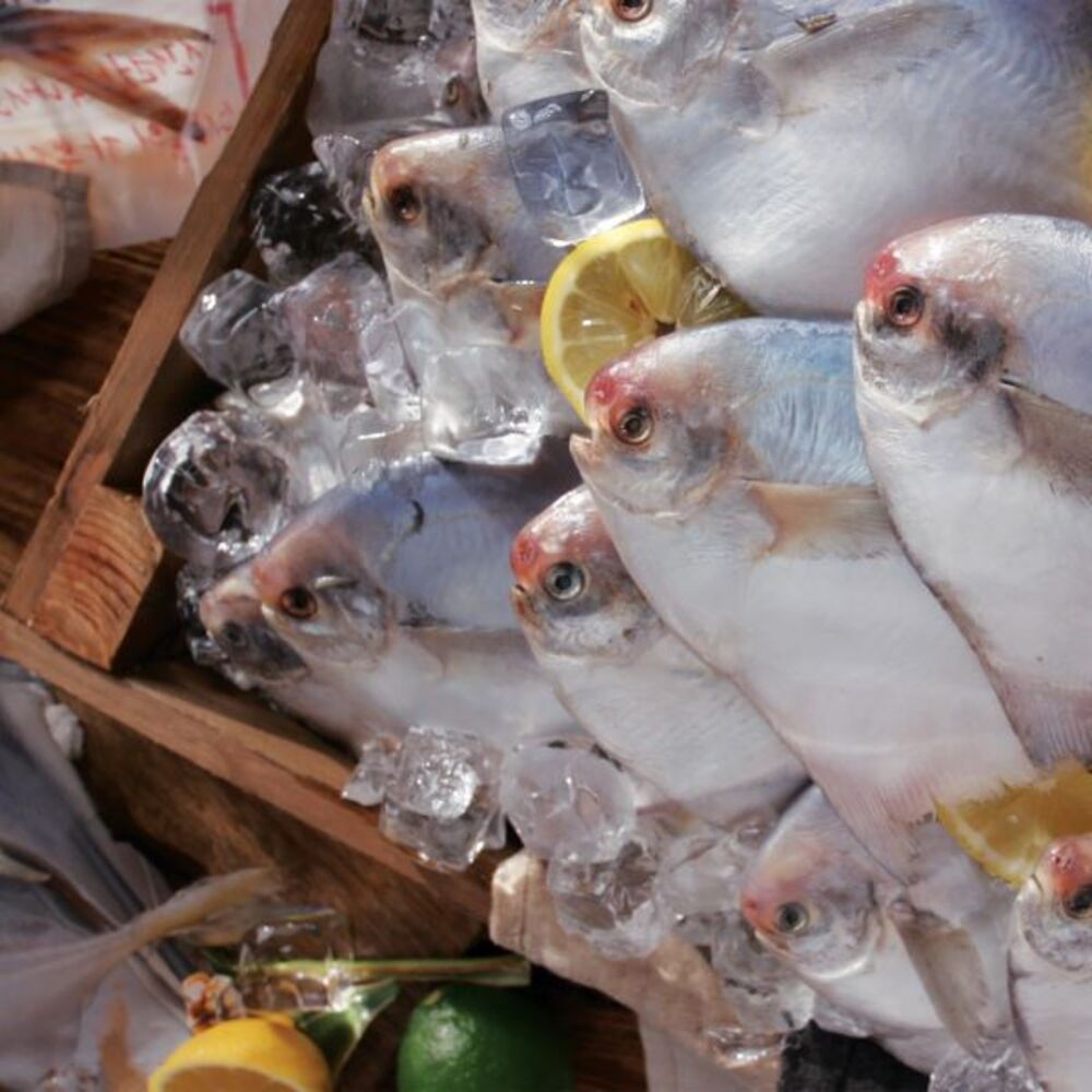 1729058288 thumbnail