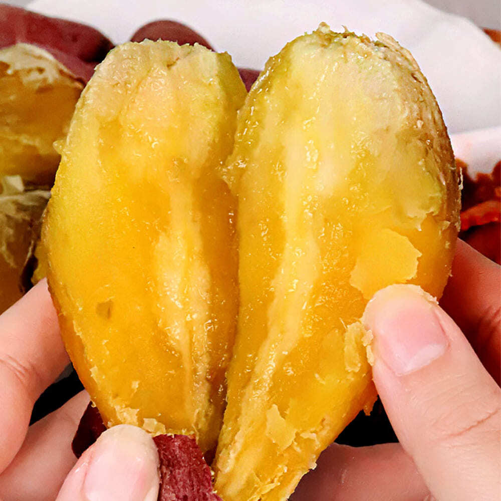 1729226895 thumbnail