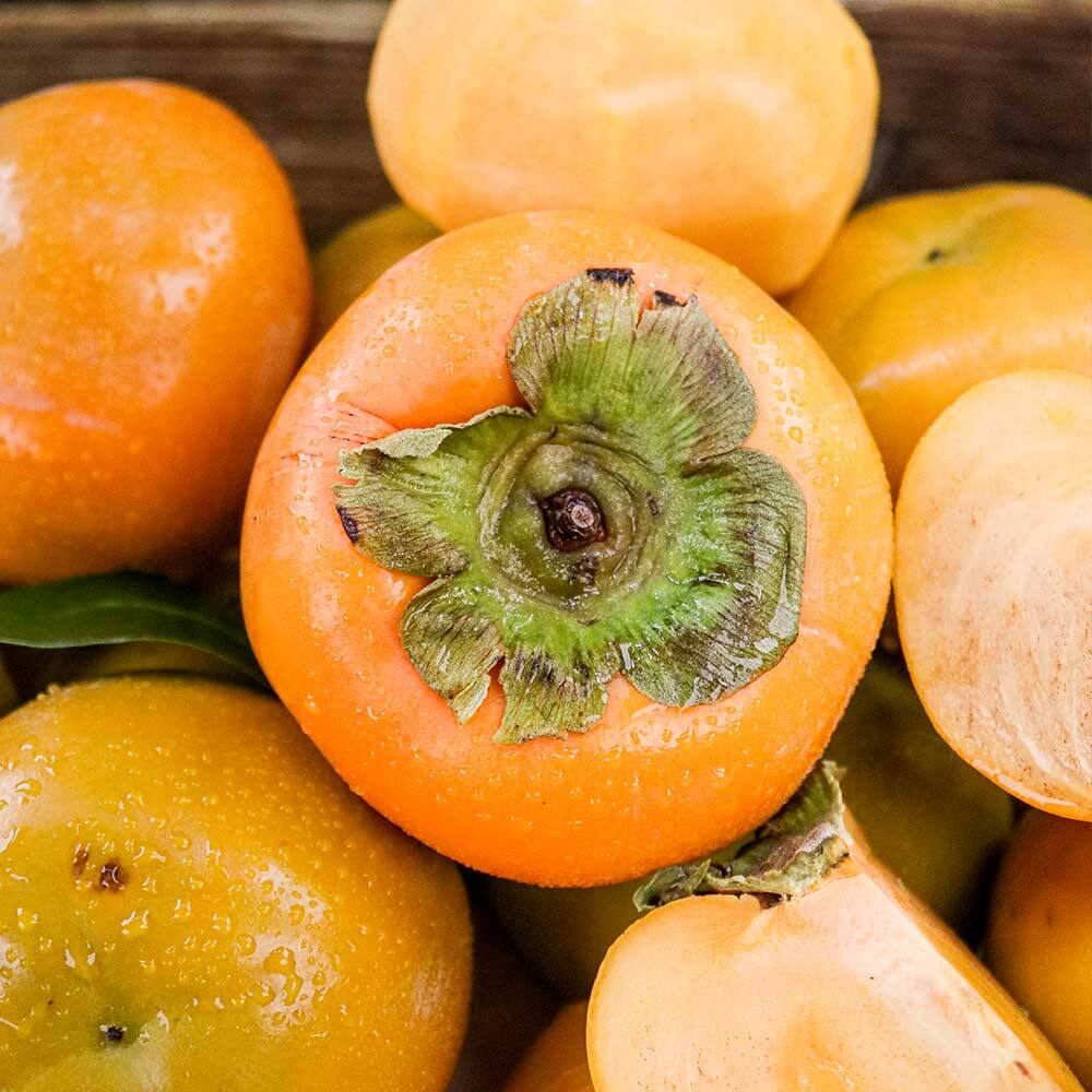 1729226902 thumbnail