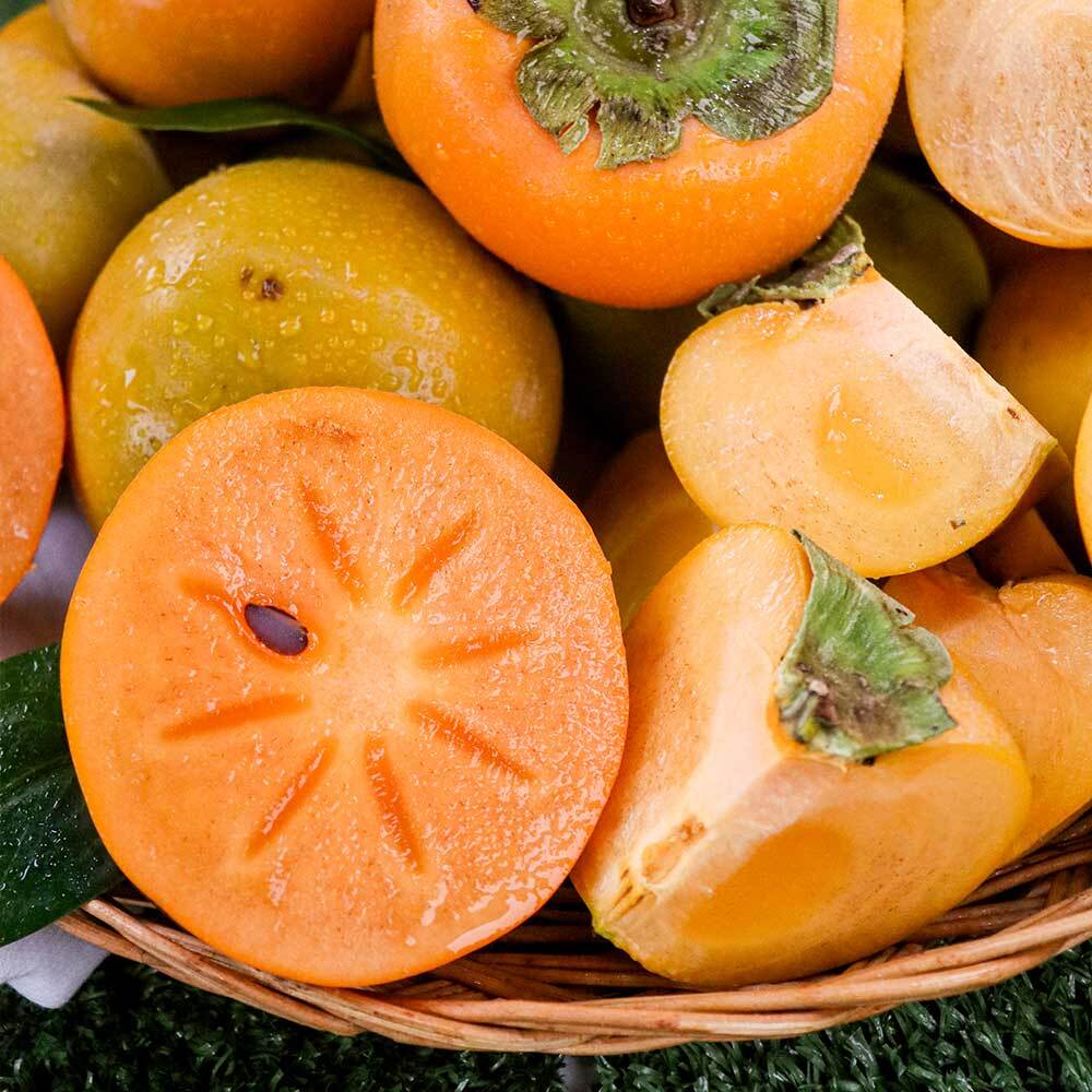 1729226903 thumbnail