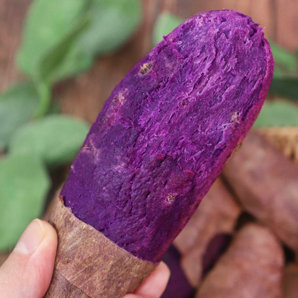 1729226921 thumbnail