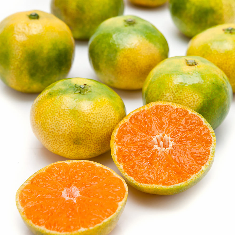 1729572546 thumbnail