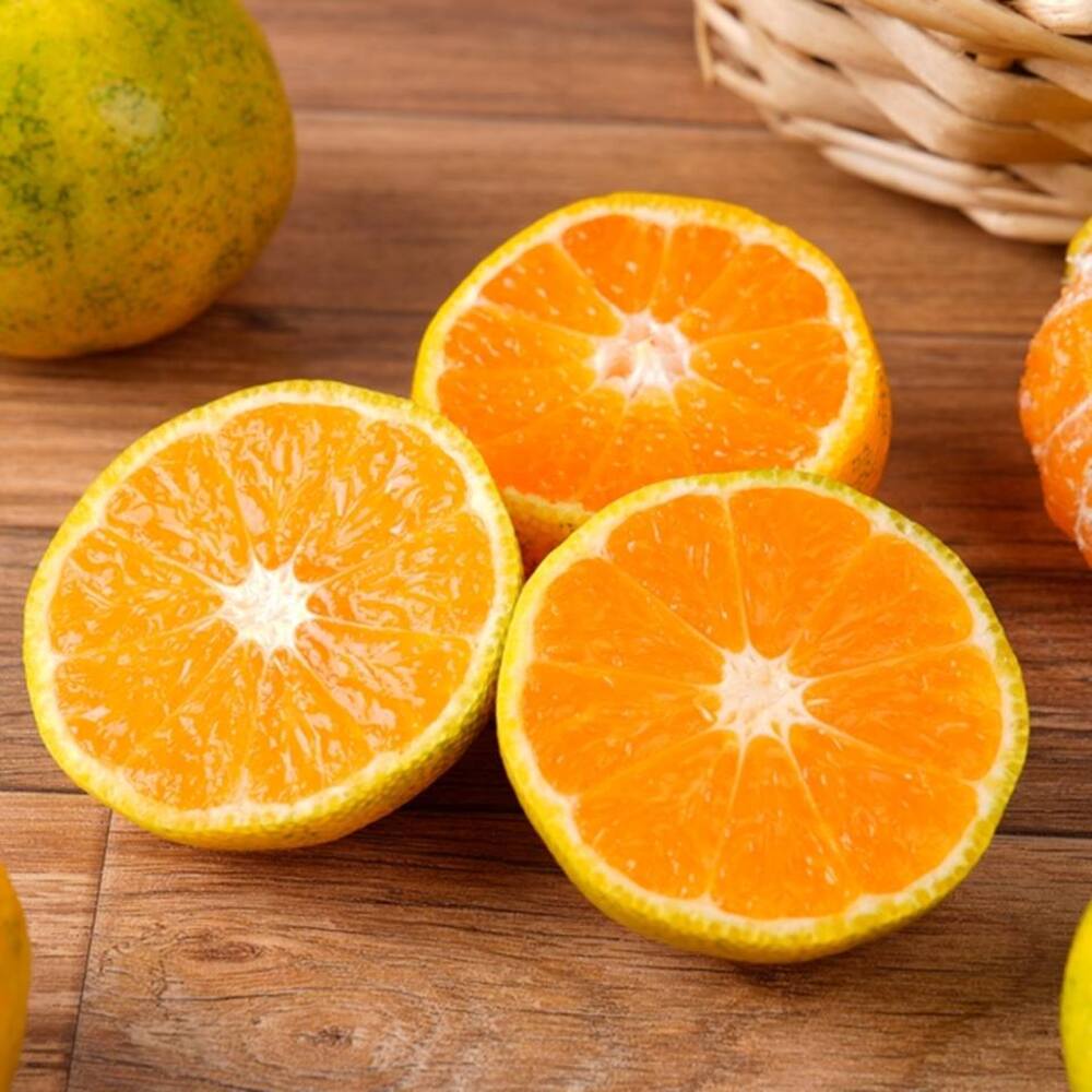 1729653728 thumbnail