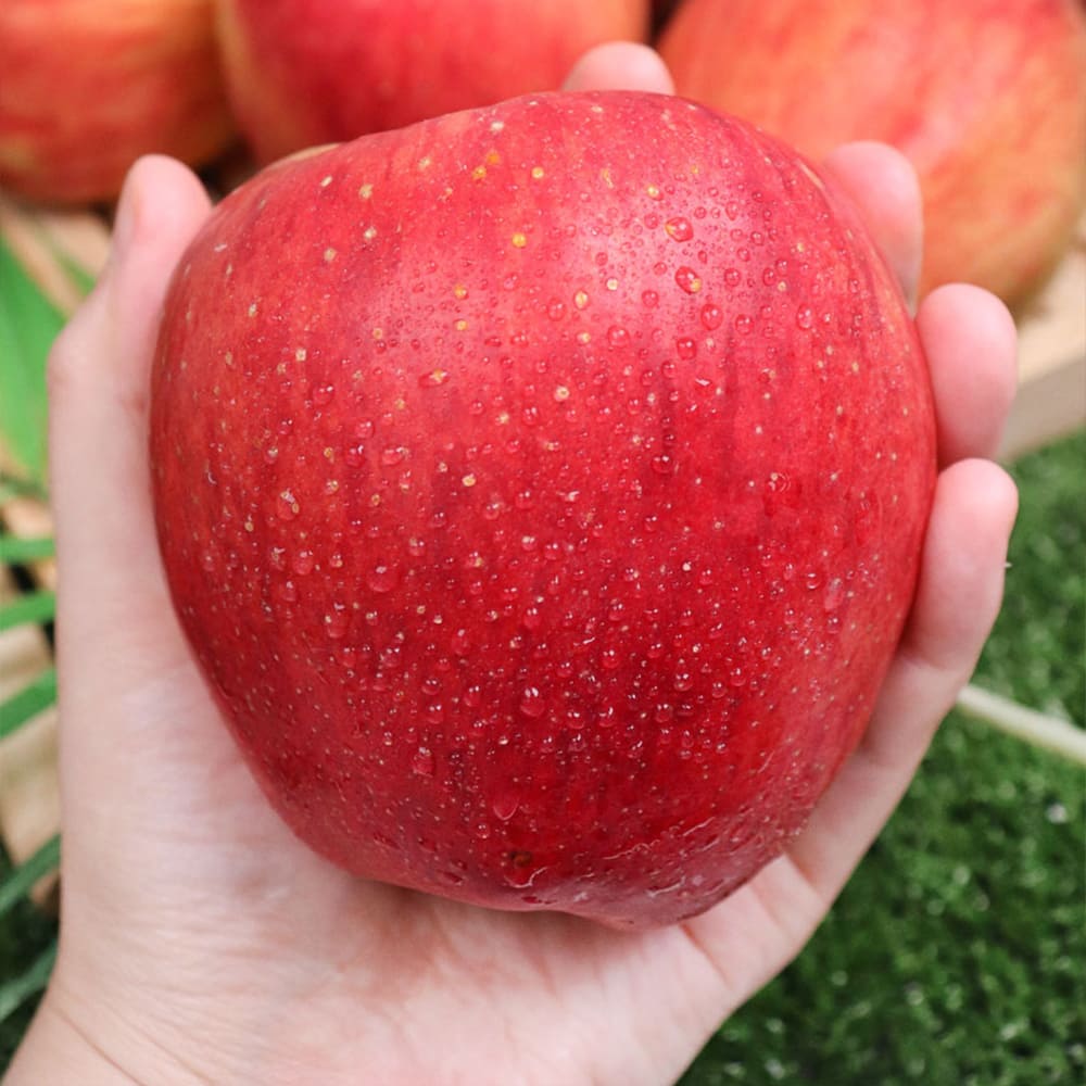 1729755981 thumbnail