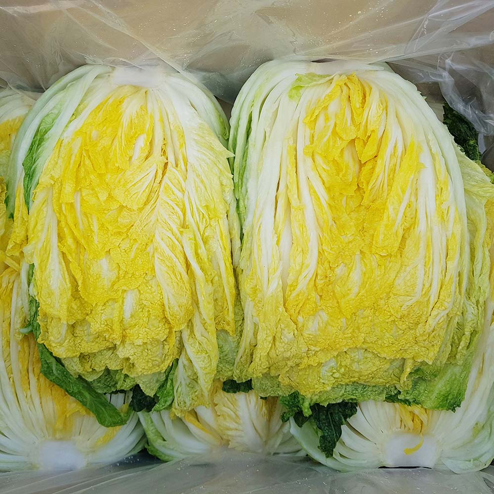 1730079184 thumbnail