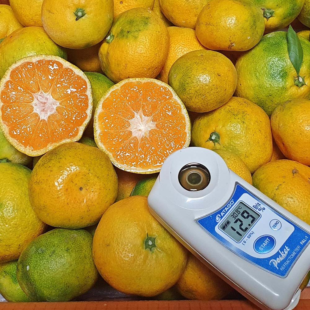 1730079188 thumbnail