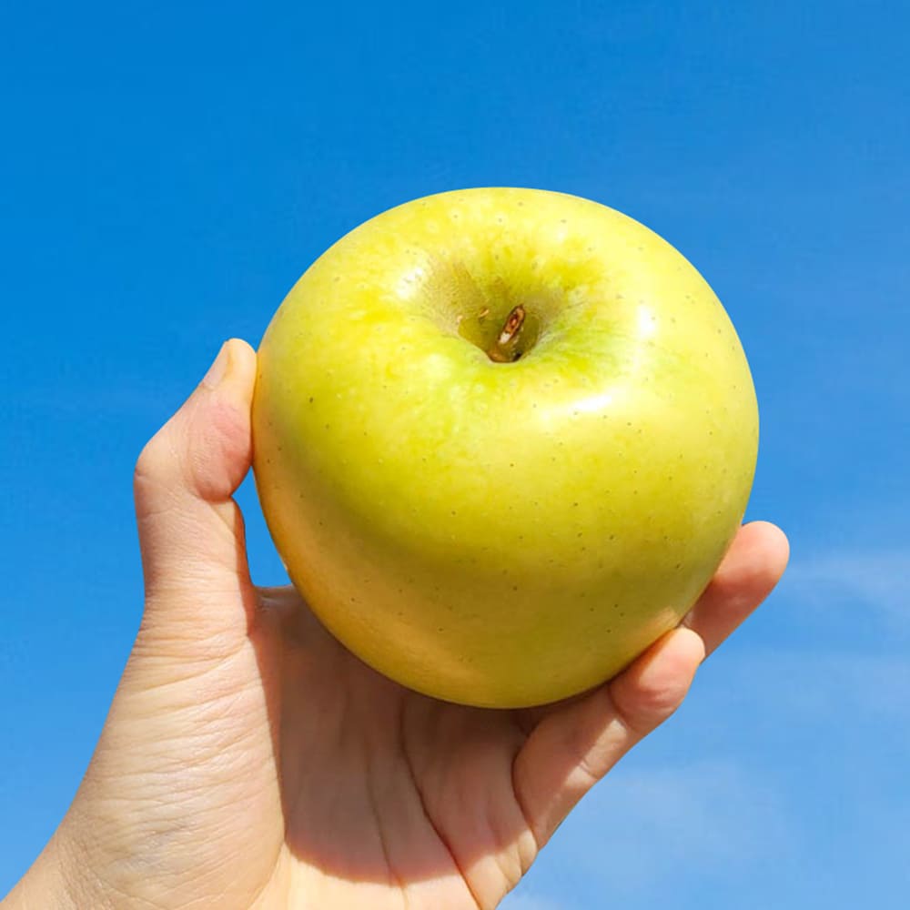 1730085169 thumbnail