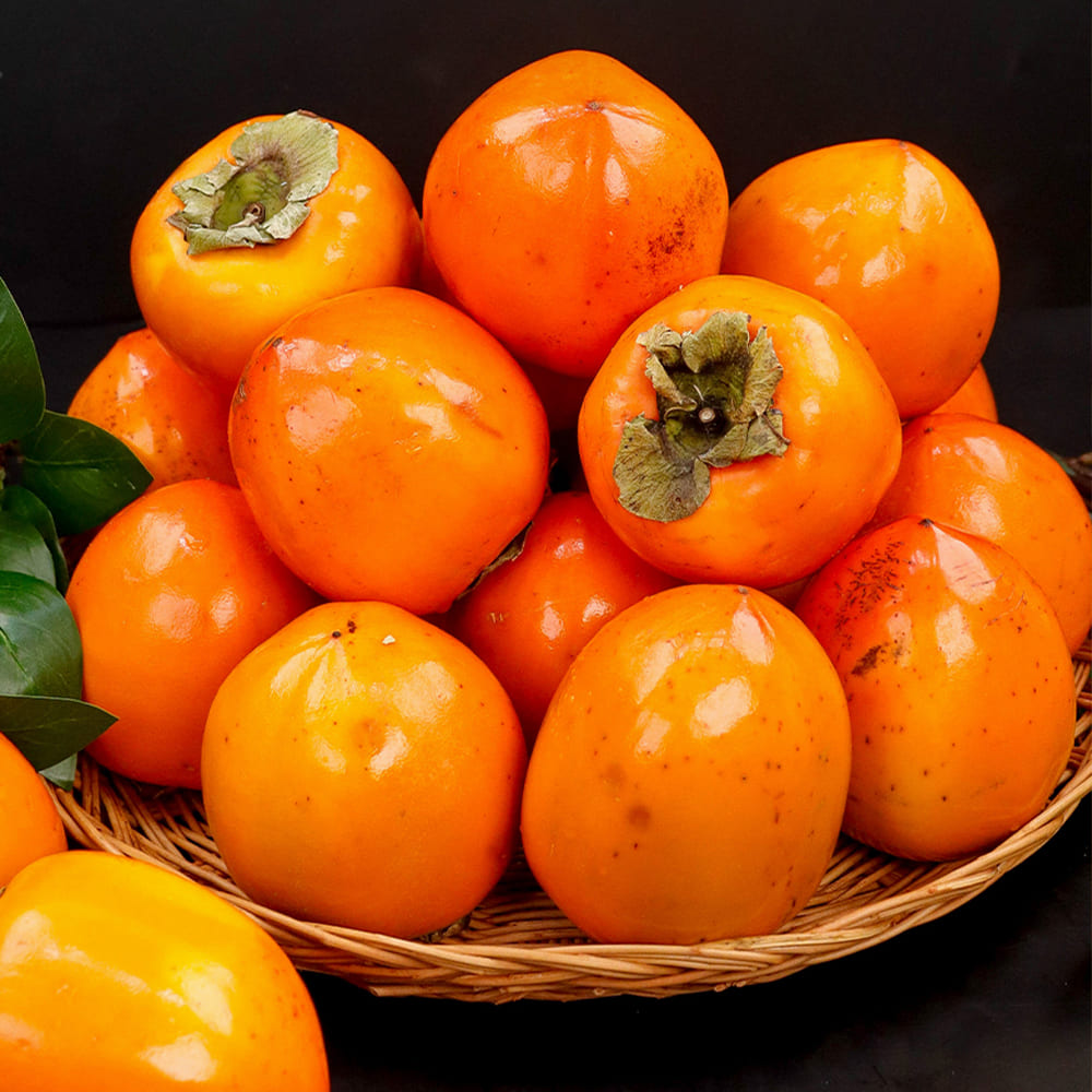 1730085175 thumbnail