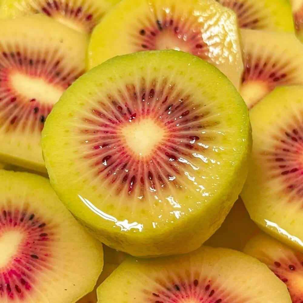 1730085195 thumbnail