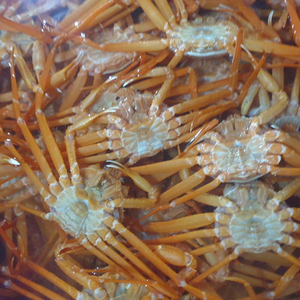 1730092451 thumbnail