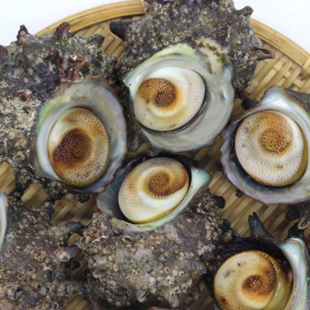 1730092452 thumbnail