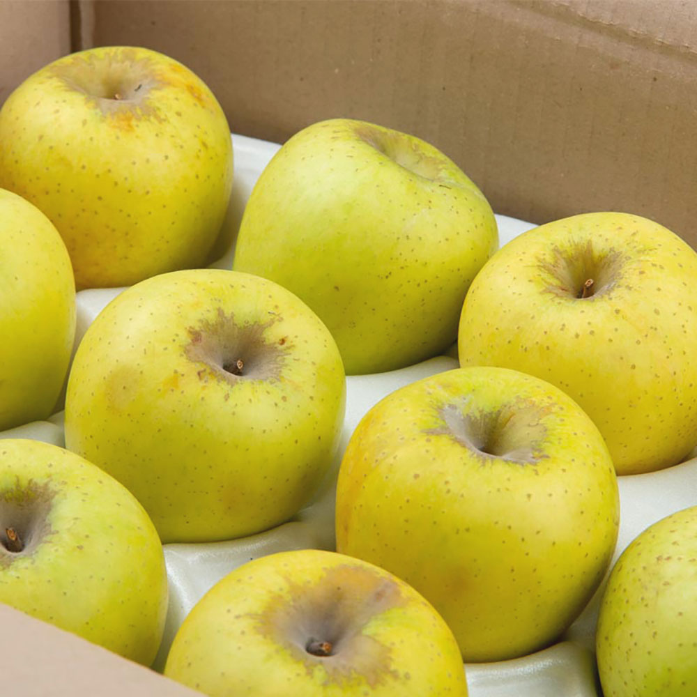 1730181004 thumbnail