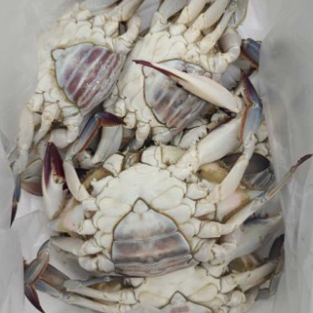 1730441856 thumbnail