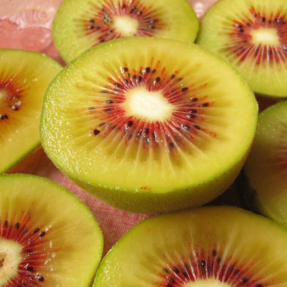 1730691446 thumbnail