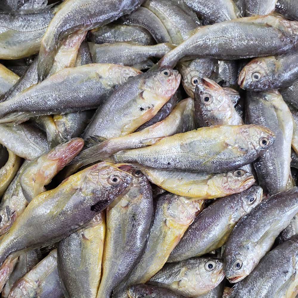 1730711677 thumbnail