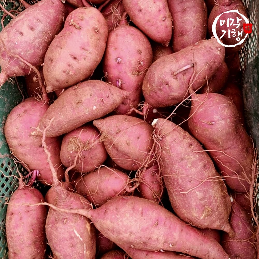 1730851886 thumbnail