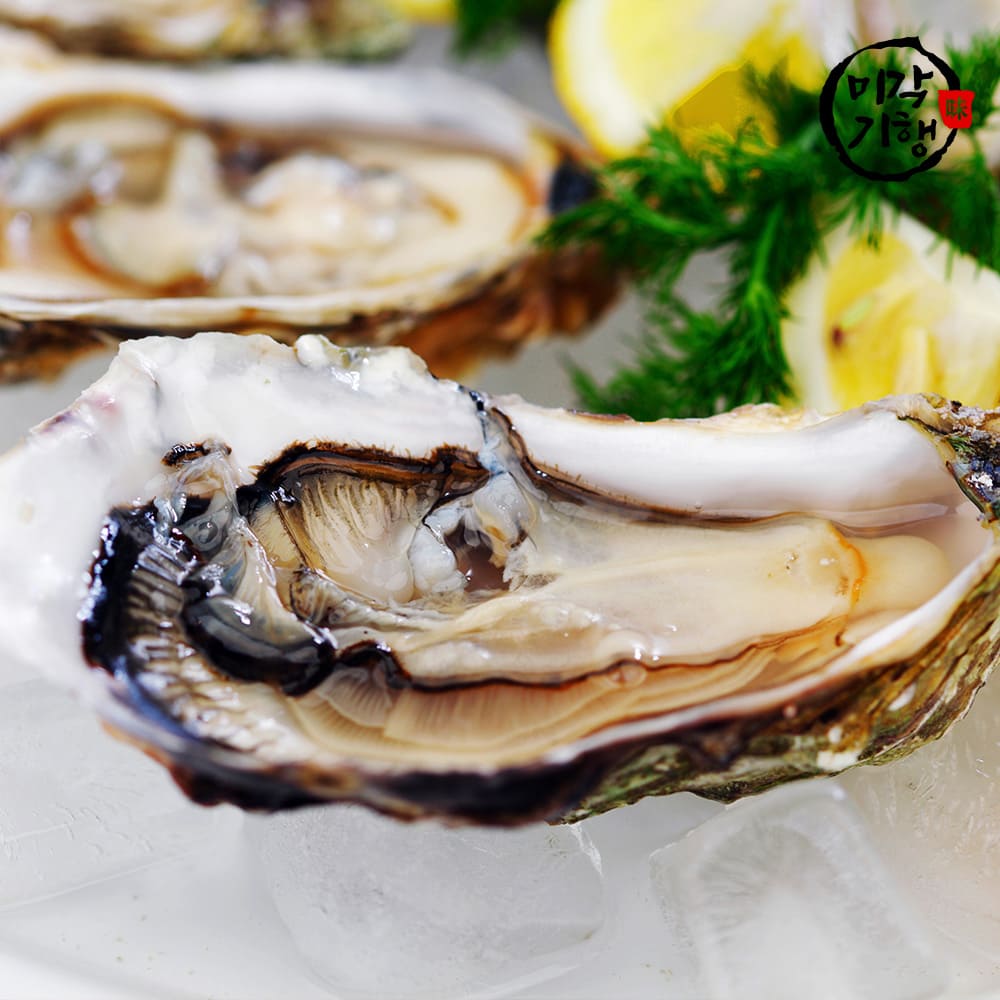 1730851895 thumbnail