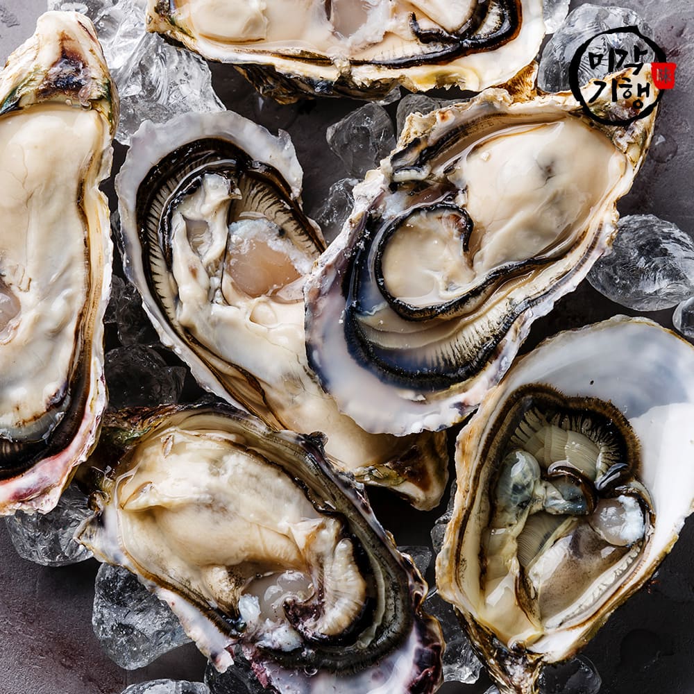 1730851896 thumbnail