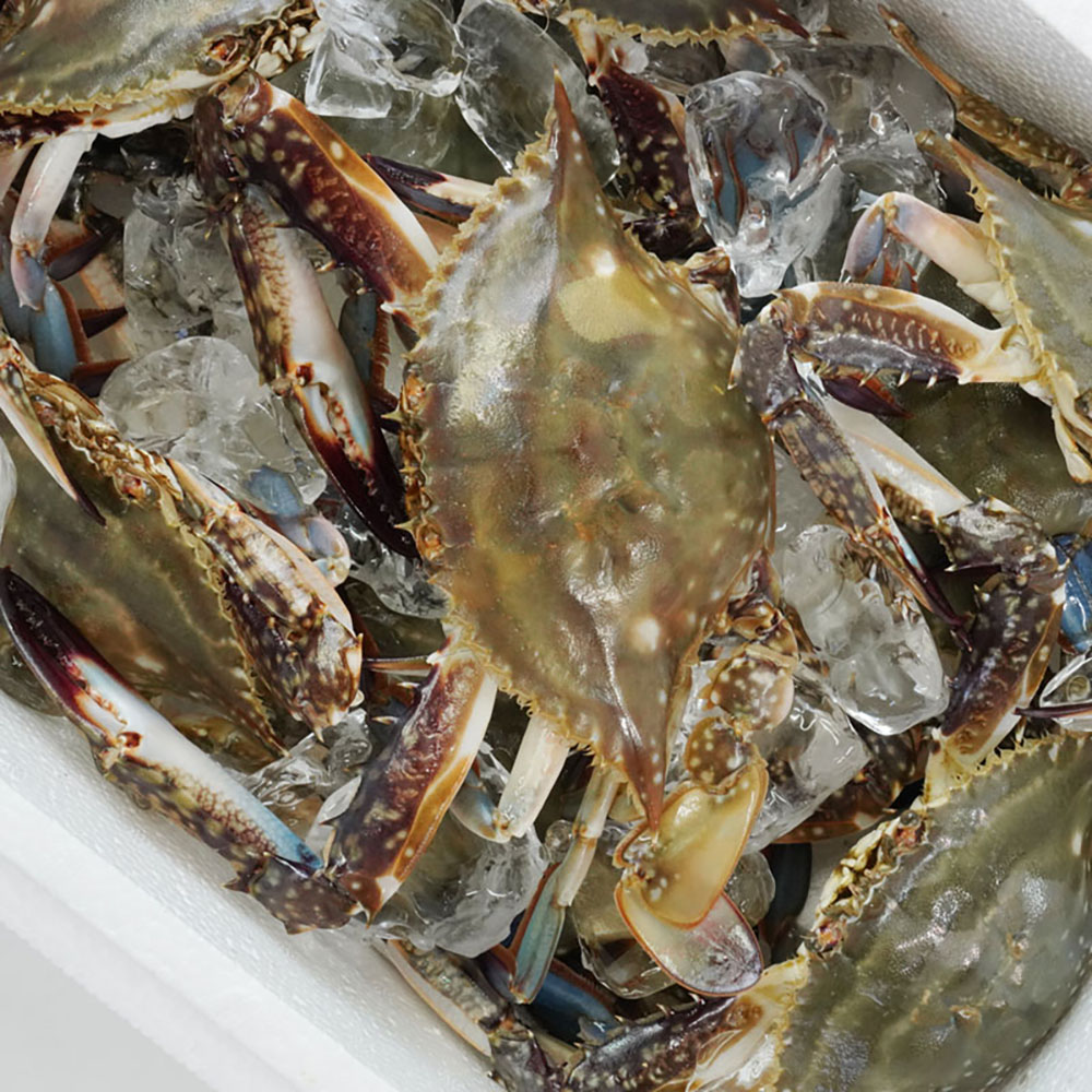 1730851898 thumbnail