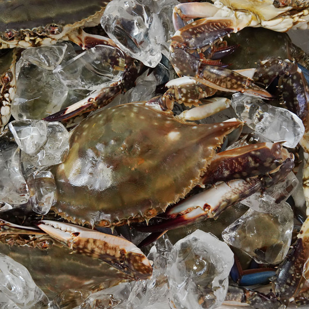 1730851899 thumbnail