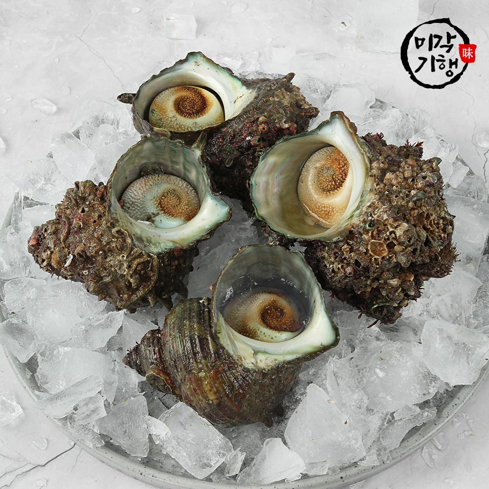 1730864754 thumbnail