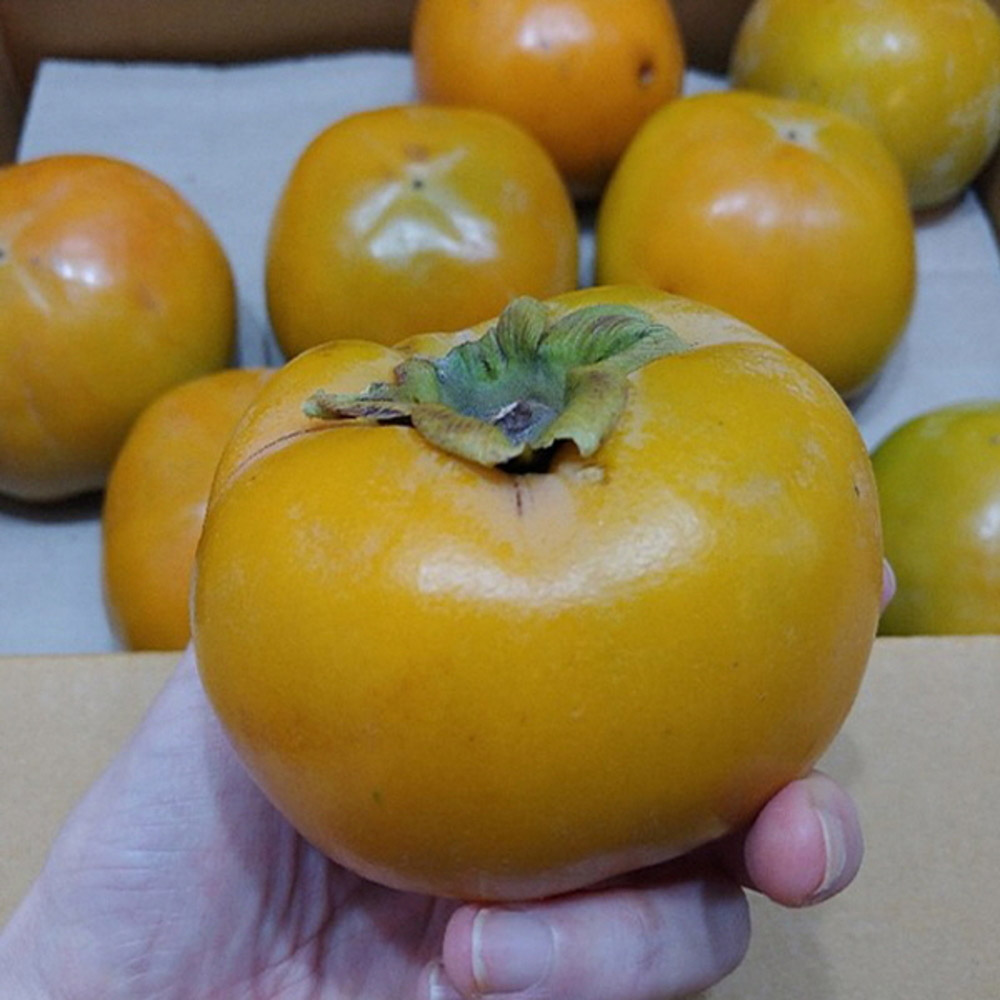 1730958275 thumbnail