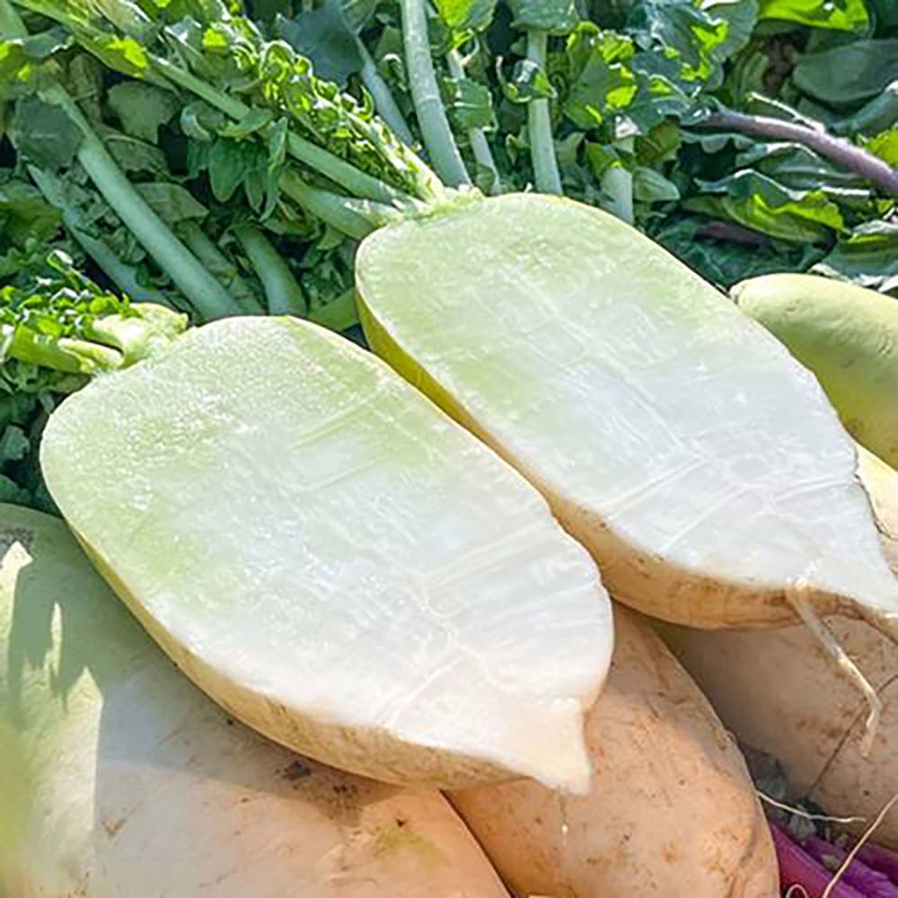 1731040202 thumbnail