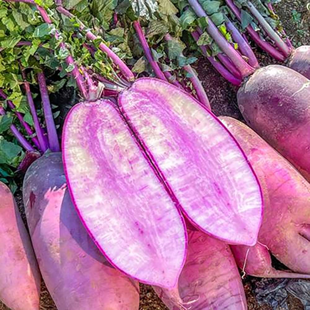 1731040204 thumbnail