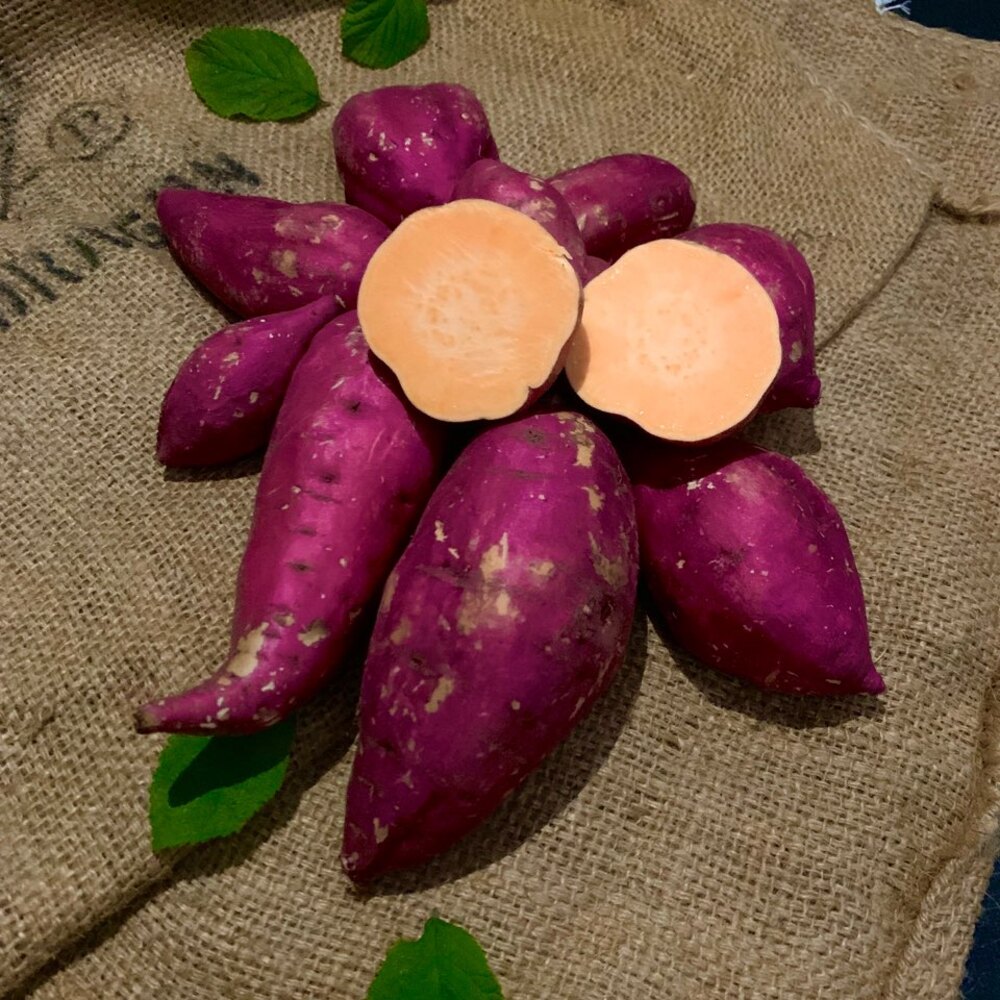 1731042659 thumbnail