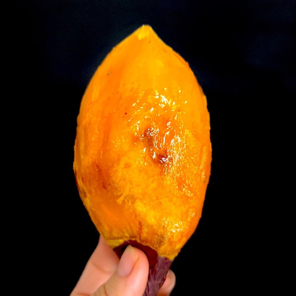 1731042661 thumbnail