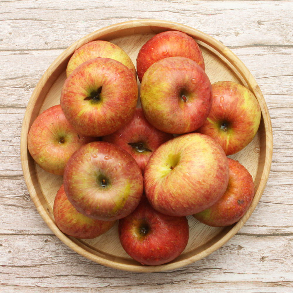 1731043263 thumbnail