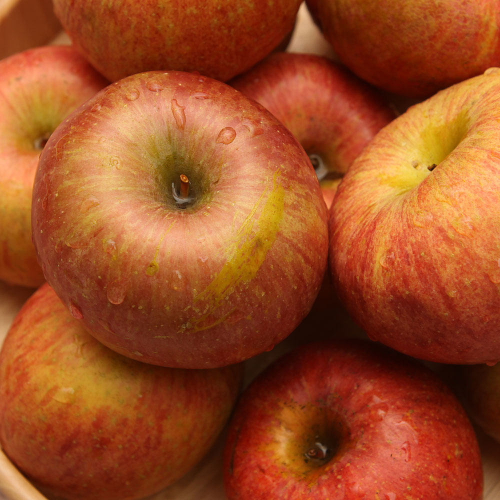 1731043274 thumbnail