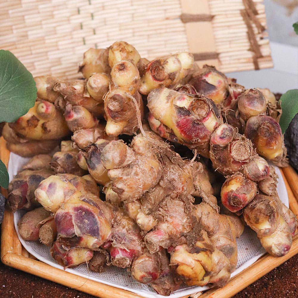 1731387112 thumbnail