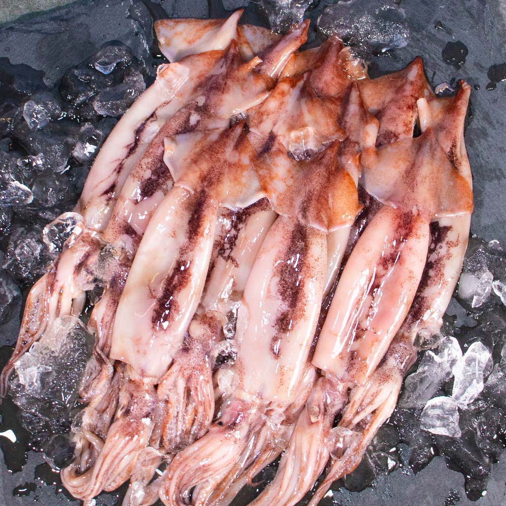 1731387114 thumbnail