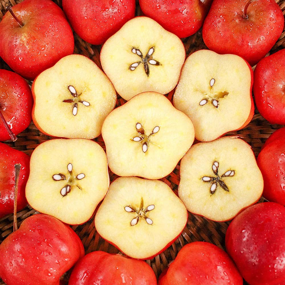 1731387119 thumbnail