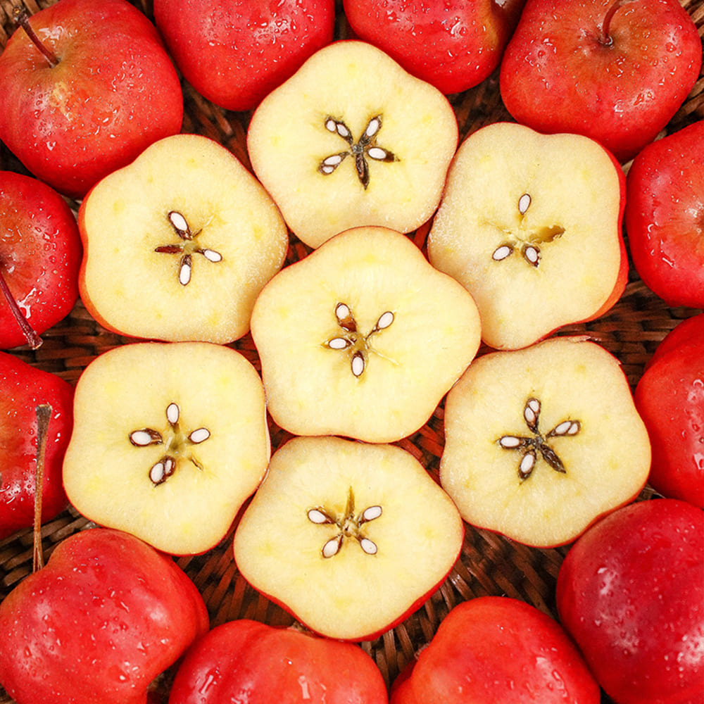 1731398320 thumbnail