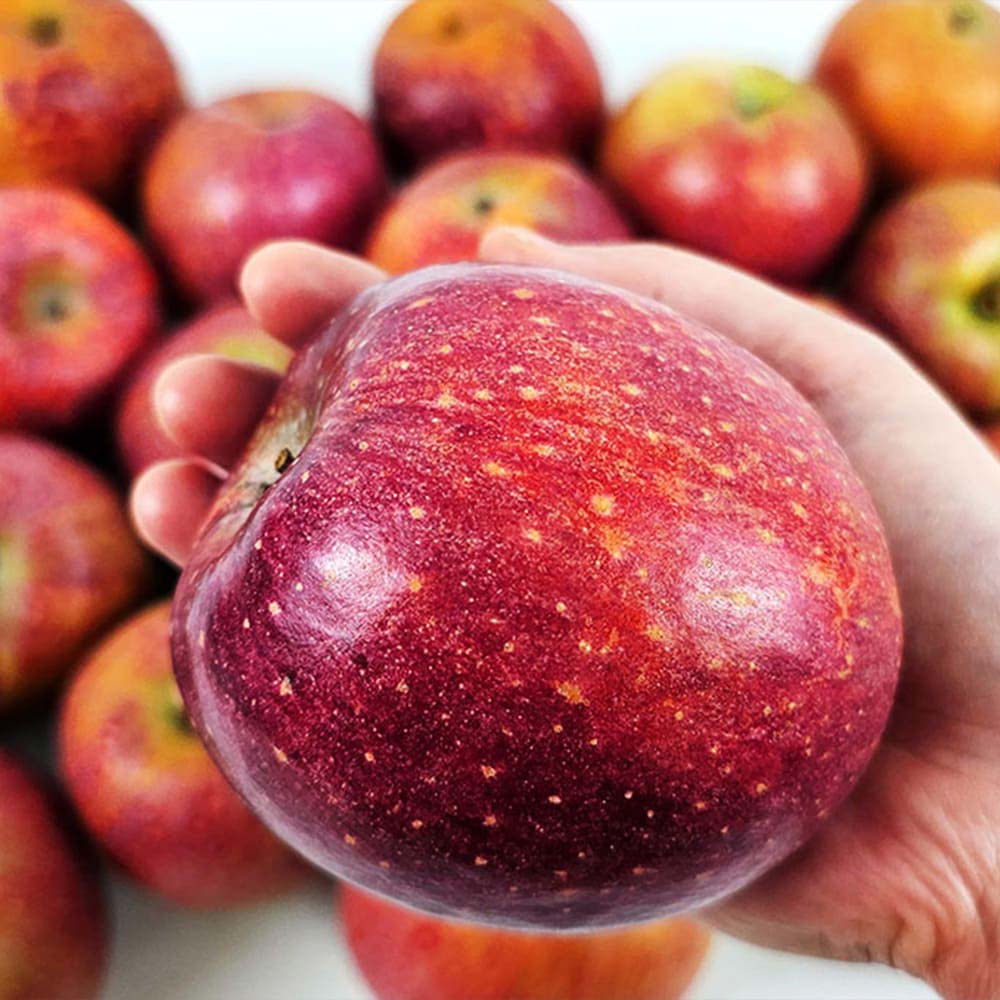 1731475483 thumbnail