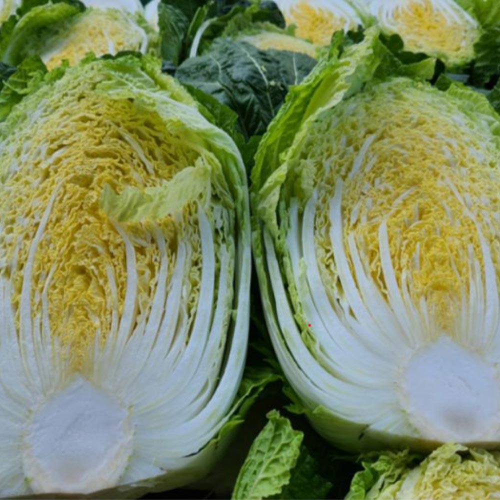 1731986794 thumbnail