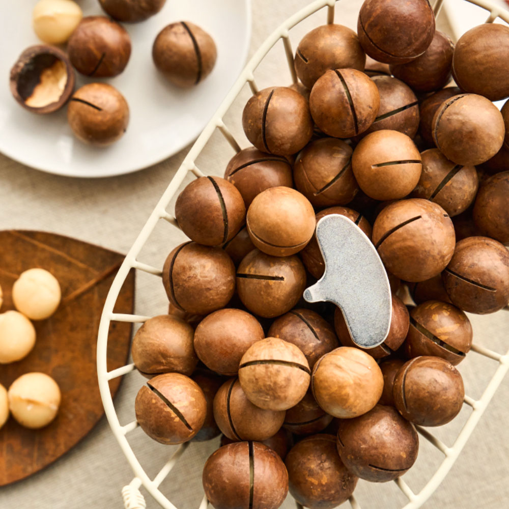 1732000581 thumbnail