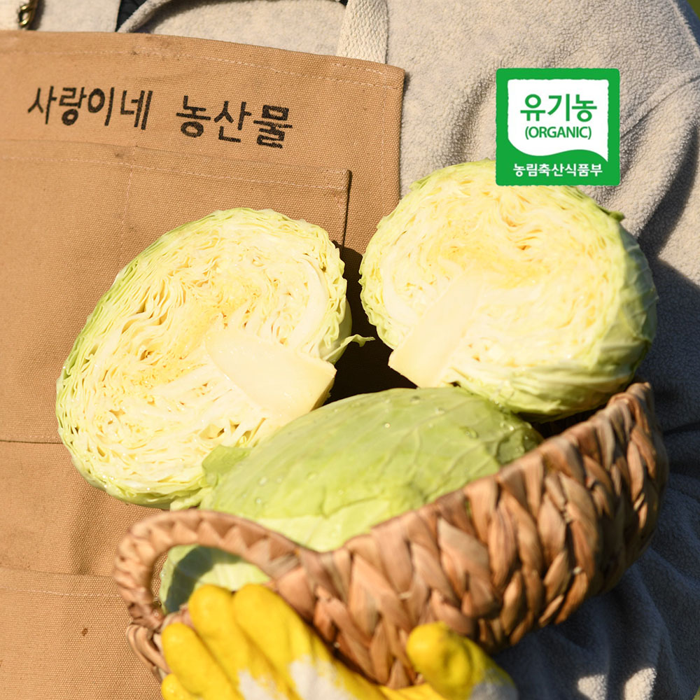 1732250373 thumbnail