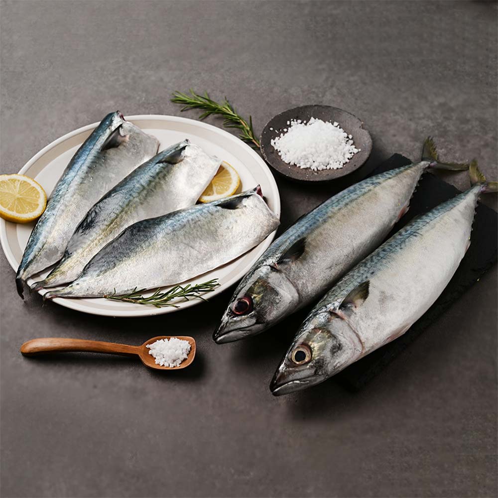 1732503587 thumbnail