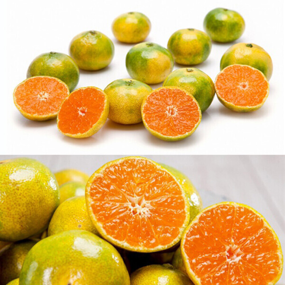 1732599485 thumbnail