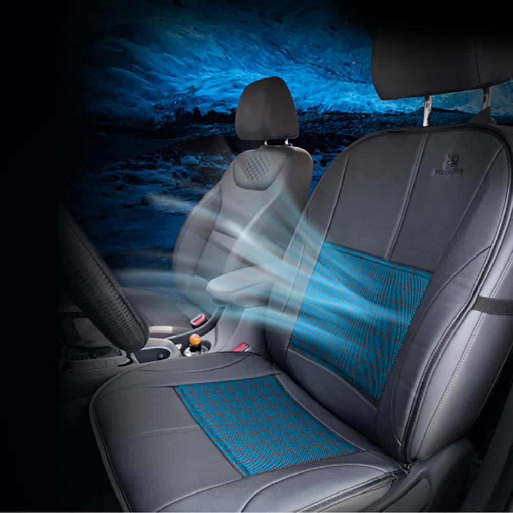 1732673179 thumbnail