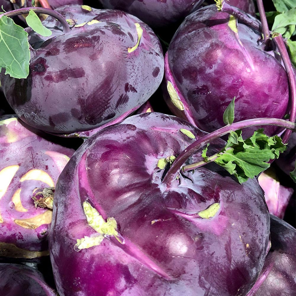 1733888062 thumbnail