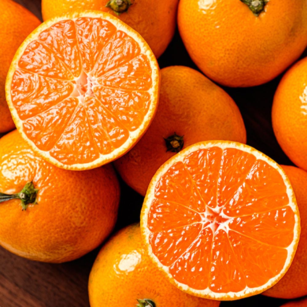 1733888066 thumbnail