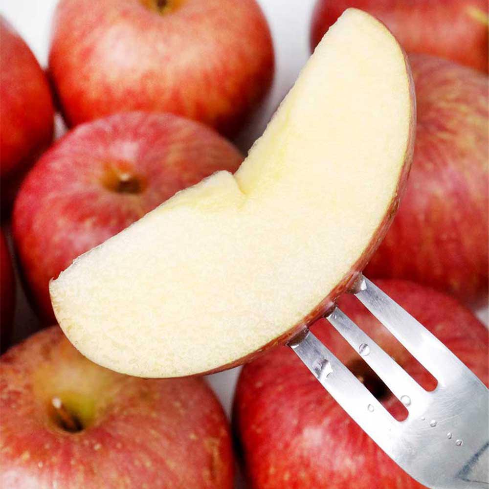 1733888076 thumbnail