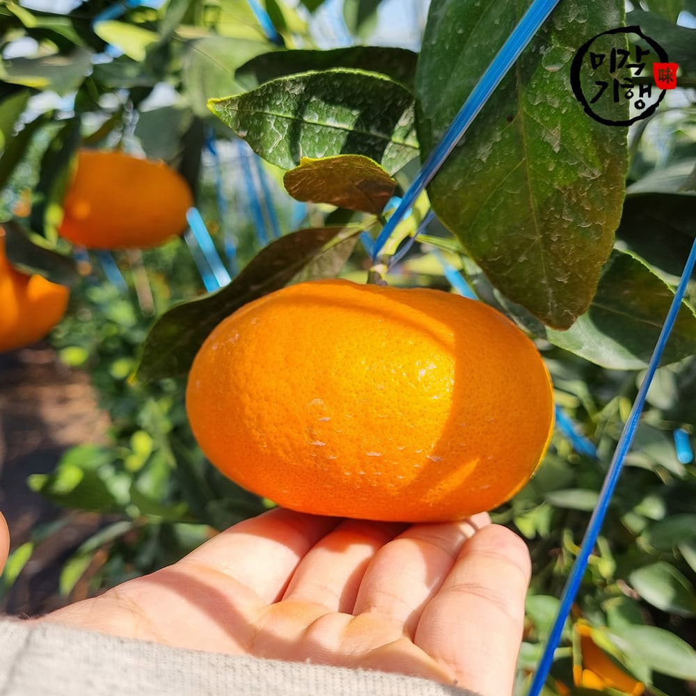 1733890780 thumbnail